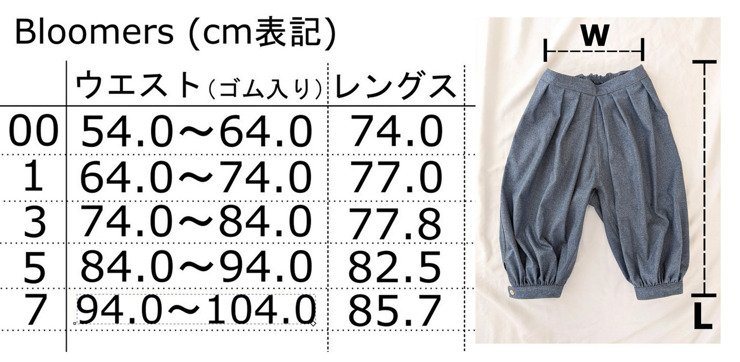 ブルマー（データ販売）