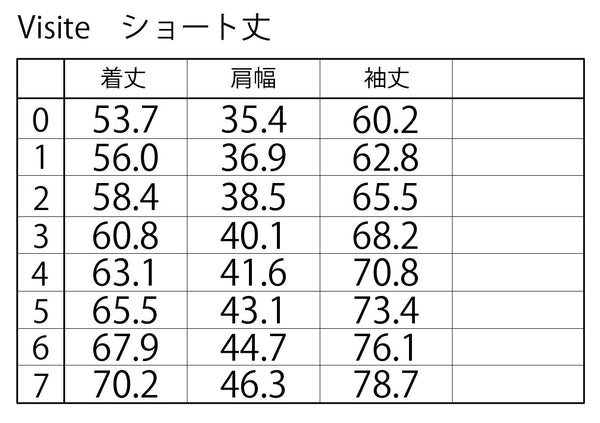 ヴィジット ショート（データ販売）